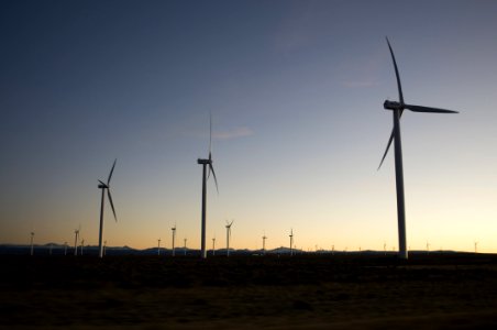 Wind Turbines In Field At Sunset photo