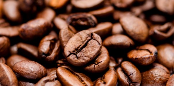 Coffee Bean Closeup