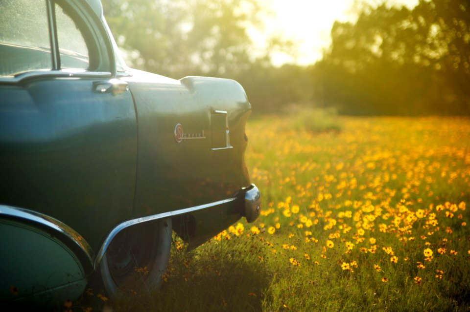 Vintage Car In Sunny Meadow