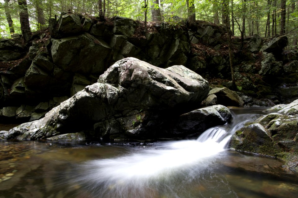 Water Running Through Rocky Terrain In The Woods