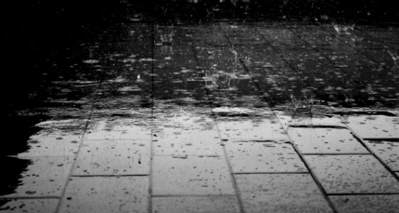 Greyscale Photo Of Rain Drops photo