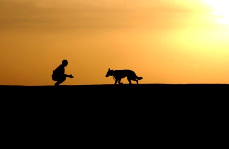 Silhouette Photo Of Man An Dog During Sunset
