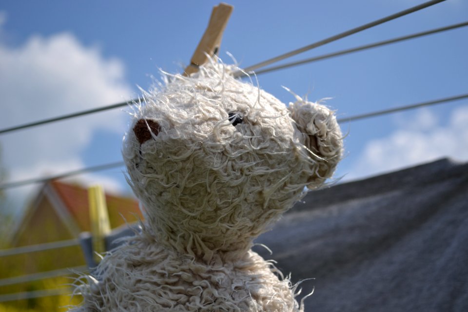 Teddy Bear On Clothesline