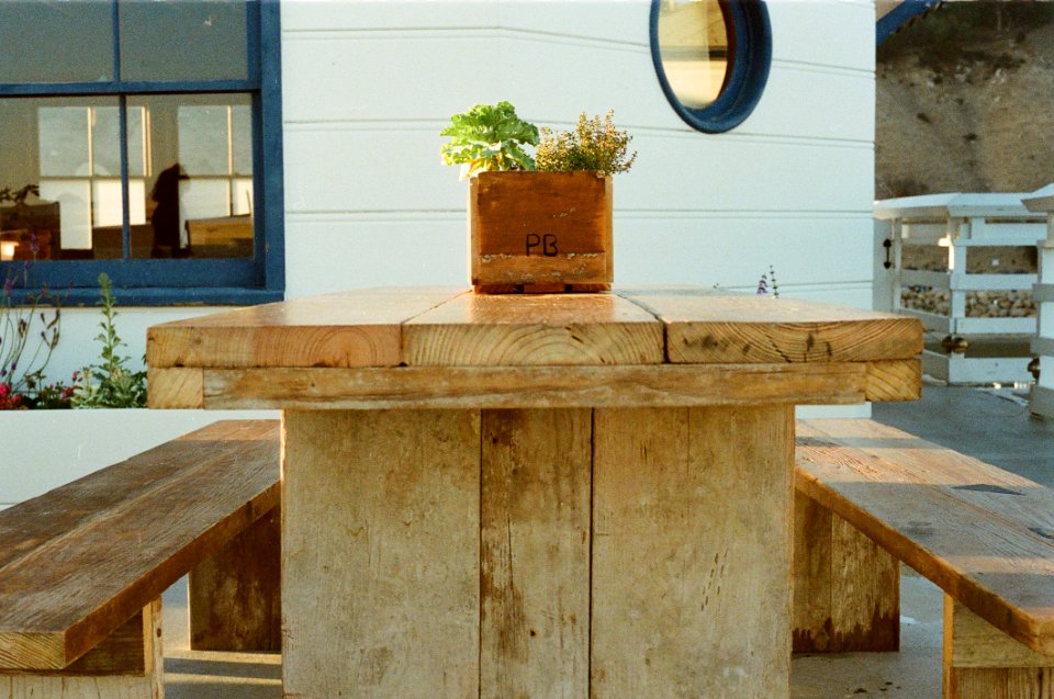 Flower On Wooden Garden Bench