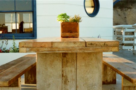Flower On Wooden Garden Bench