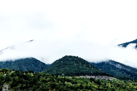 Fog Over Wooded Hillside Andorra