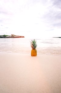 Pineapple Fruit On Seashore During Daytime photo