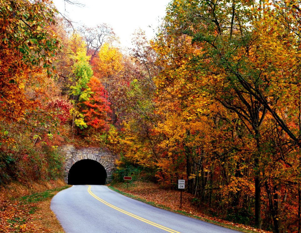 Tunnel on North Carolina's Blue Ridge Parkway. Original image from Carol M. Highsmith’s America, Library of Congress collection.
