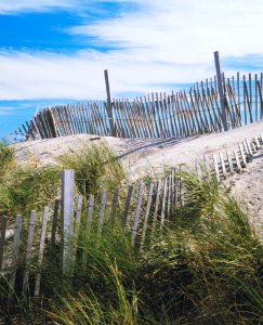 Dunes and Fence, Cape Hatteras, North Carolina. Original image from Carol M. Highsmith’s America, Library of Congress collection. photo