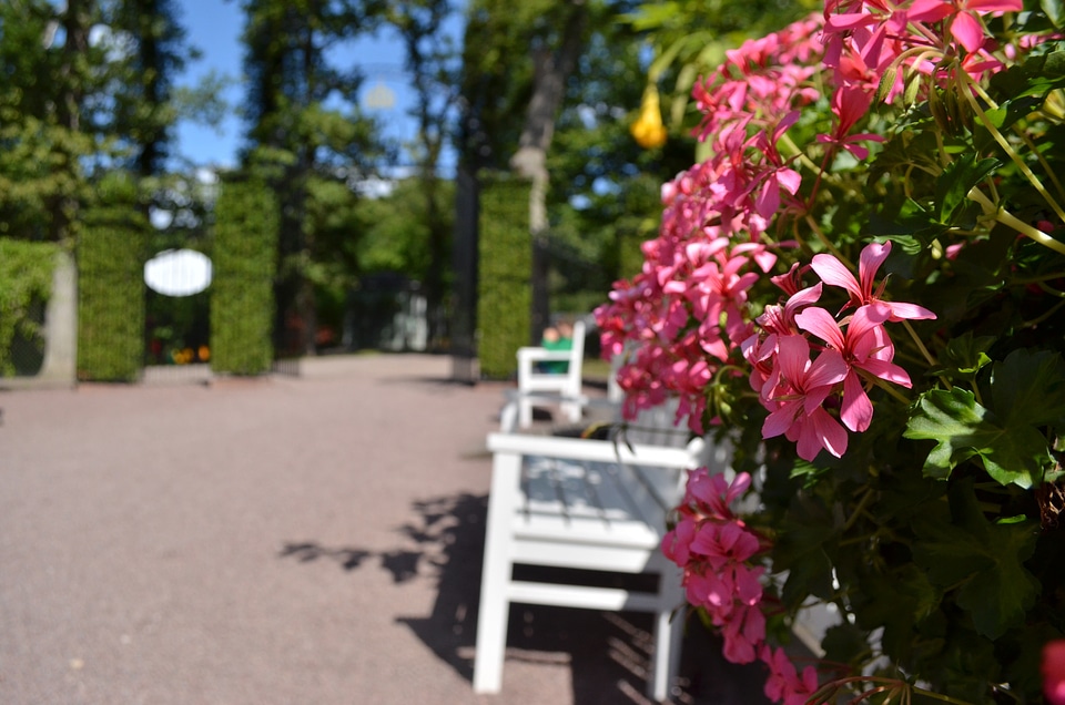 Park romance castle