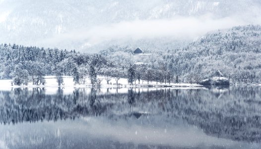 Snow Covered Trees Reflecting In Water photo