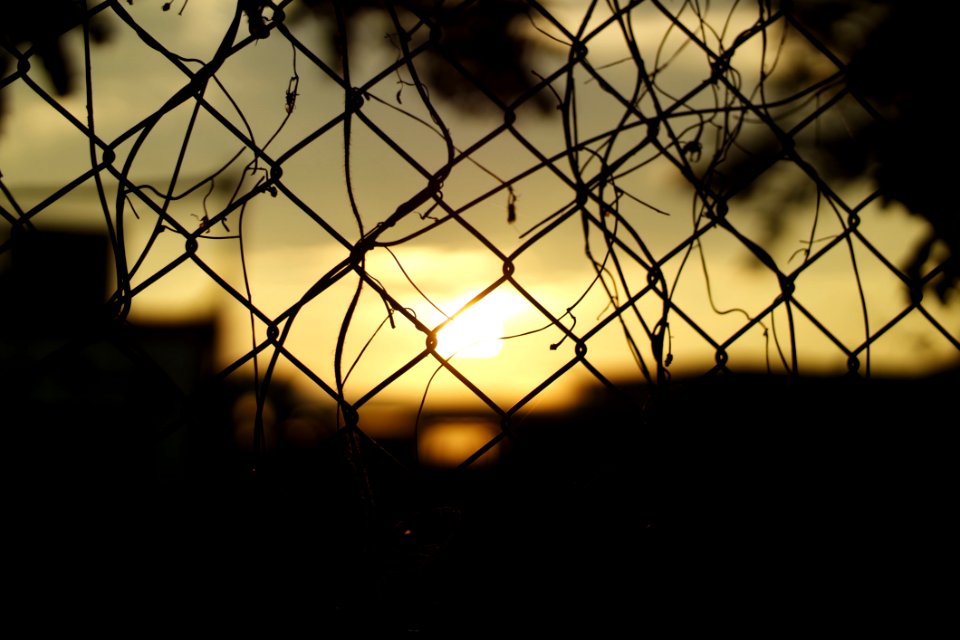 Silhouette Fence During Sunset