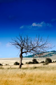 Clear Sky During Daytime photo