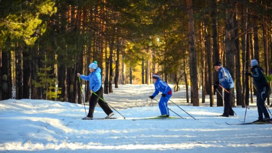 4 Man Snow Skiing In The Woods photo