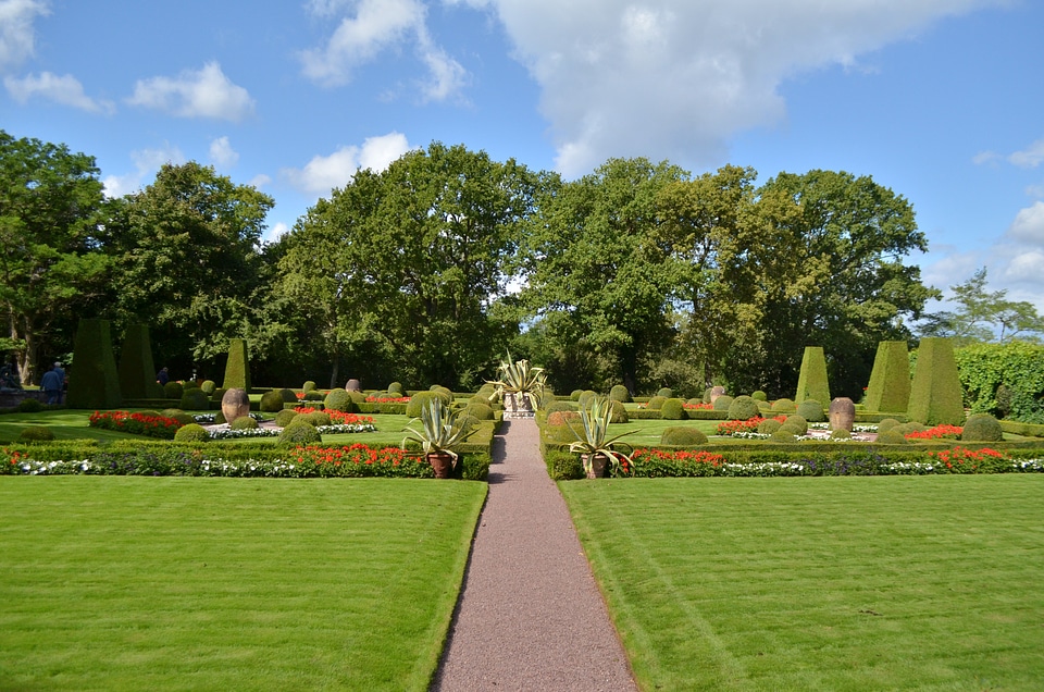 Nature green landscape