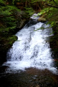 Waterfall On Forest Stream photo