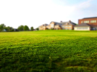 Green Lawn Outside Home photo