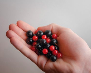 Hand Holding Currants
