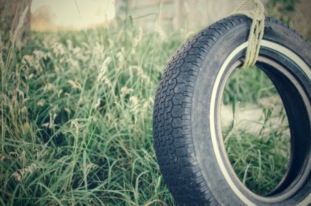 Black Car Tire Tie On Brown Rope Near To Green Plant During Daytime photo