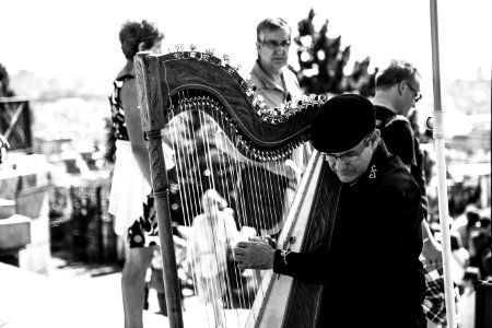 Metal Harp