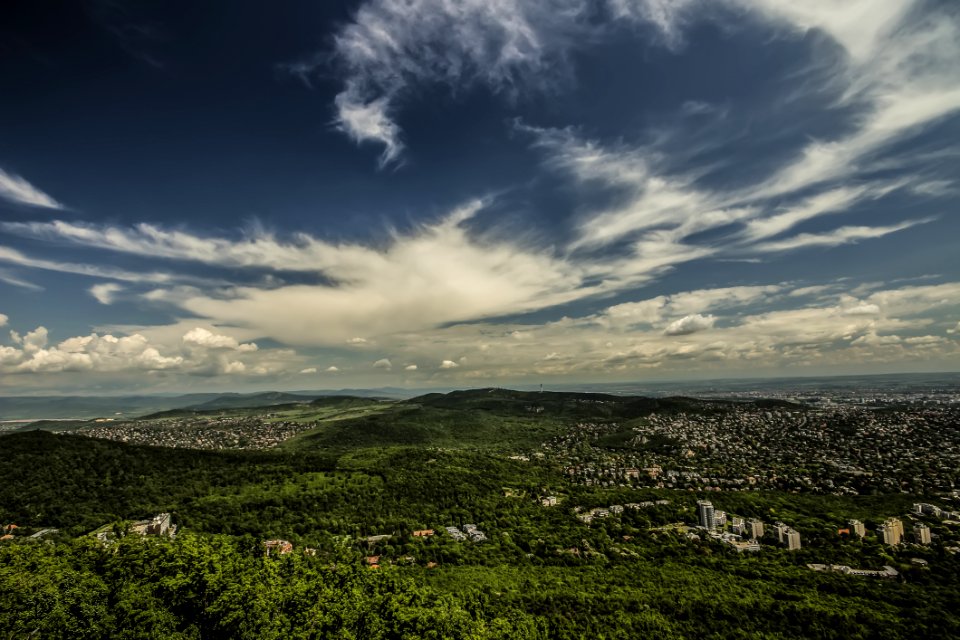 Green Trees Over The White Clouds And Blue Sky