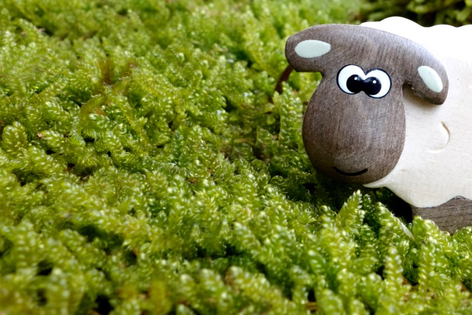 Brown And Gray Sheep To On Green Grass Field Toy