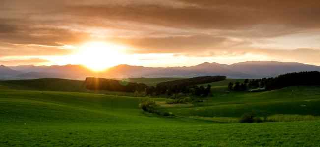 Green Grass Field During Sunset photo