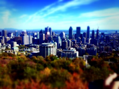 Skyline Of City Over Fall Foliage photo