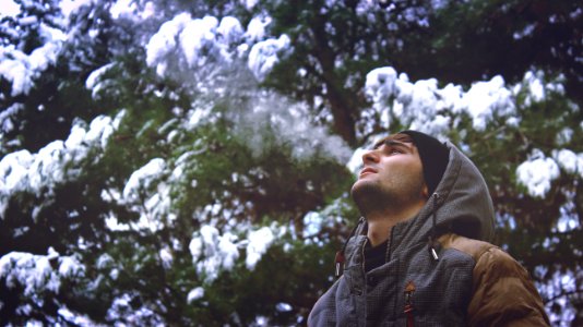 Young Man Looking Up In Forest photo