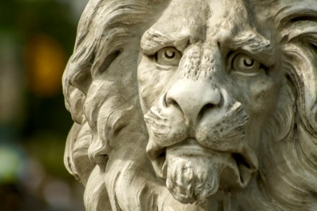 Lion Face Statue photo