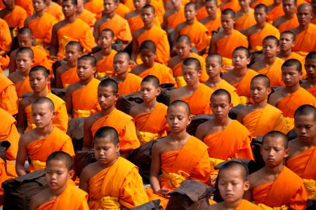Monks Sitting photo