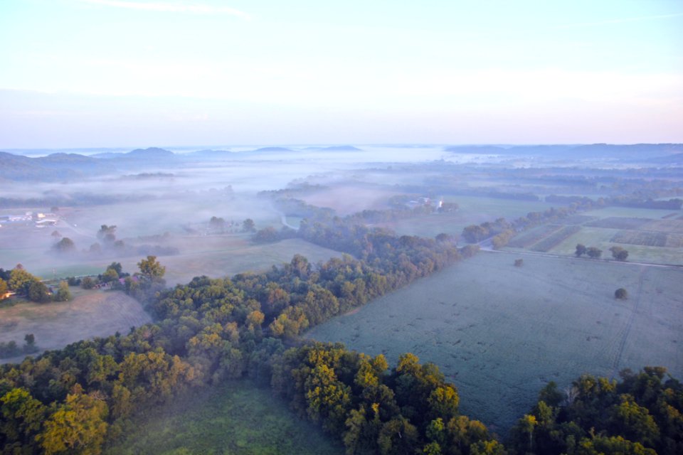 Aerial View Of Green Trees During Daytime