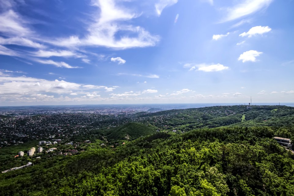 Village Surrounded By Green Trees Under Cloudy Blue Sky photo