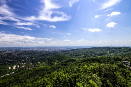 Village Surrounded By Green Trees Under Cloudy Blue Sky photo