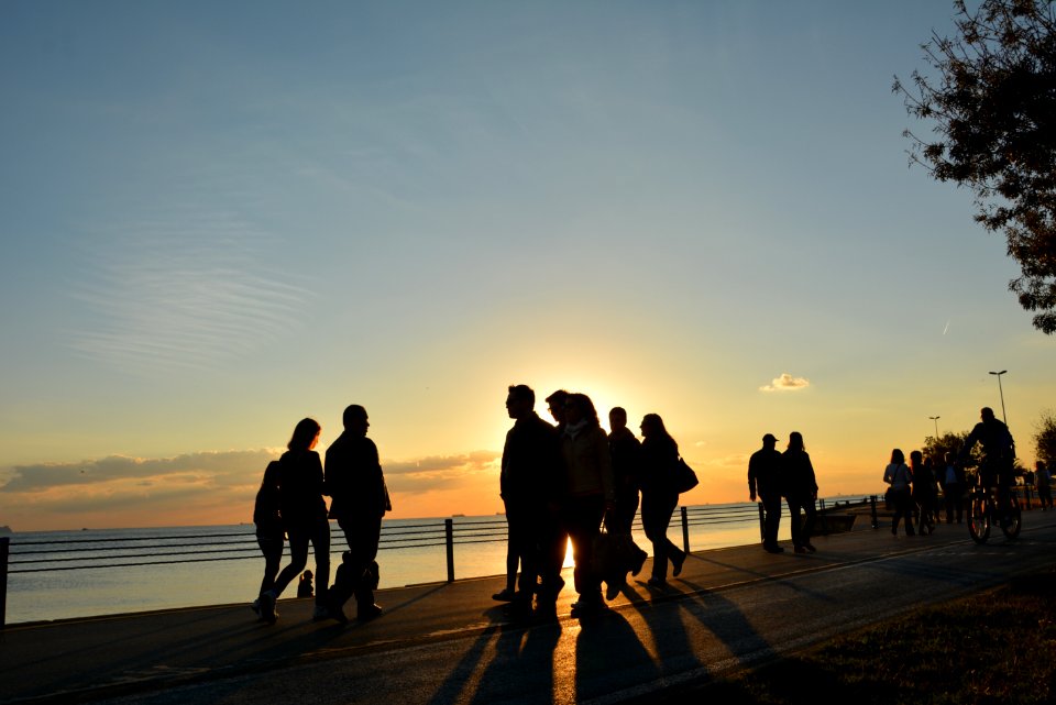 Silhouette Of People Near Seashore During Sunset