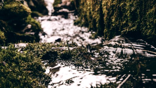 Stream Passing Mossy Rocks
