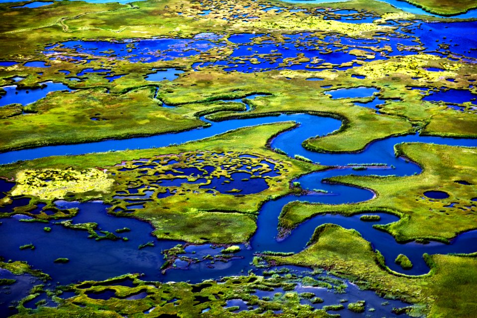 Marshlands on the New Jersey Shore near Little Egg Harbor, New Jersey. Original image from Carol M. Highsmith’s America, Library of Congress collection.
