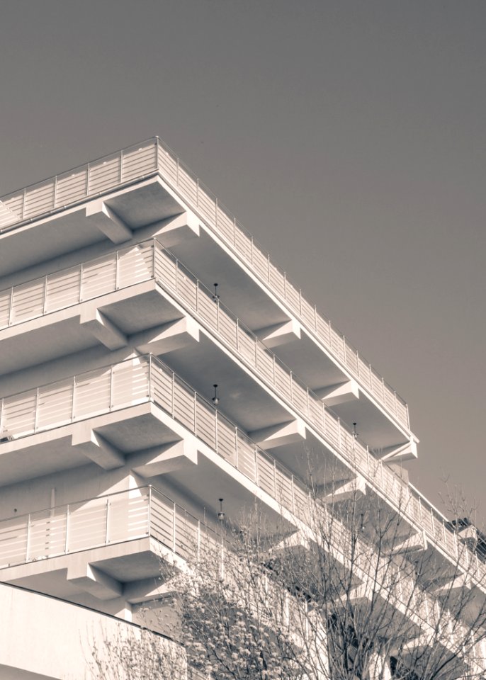 White Up Rise Building