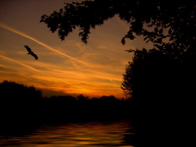 Sunset On River photo