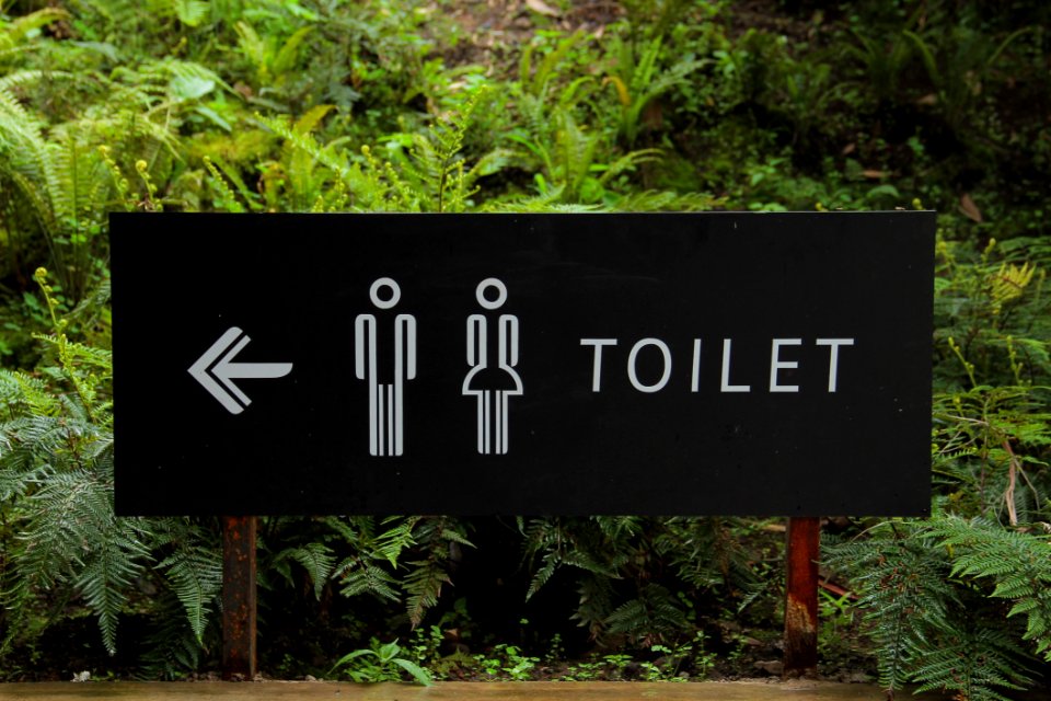 Toilet Signage Beside Green Leaf