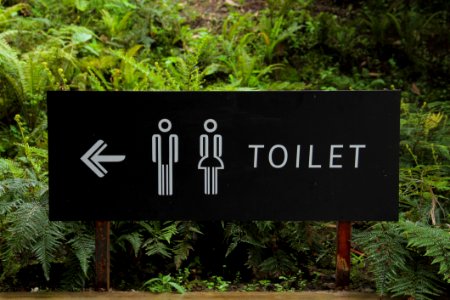 Toilet Signage Beside Green Leaf