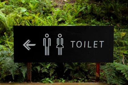 Toilet Signage Beside Green Leaf photo