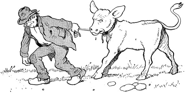 Contes De La Chevre Noire-28