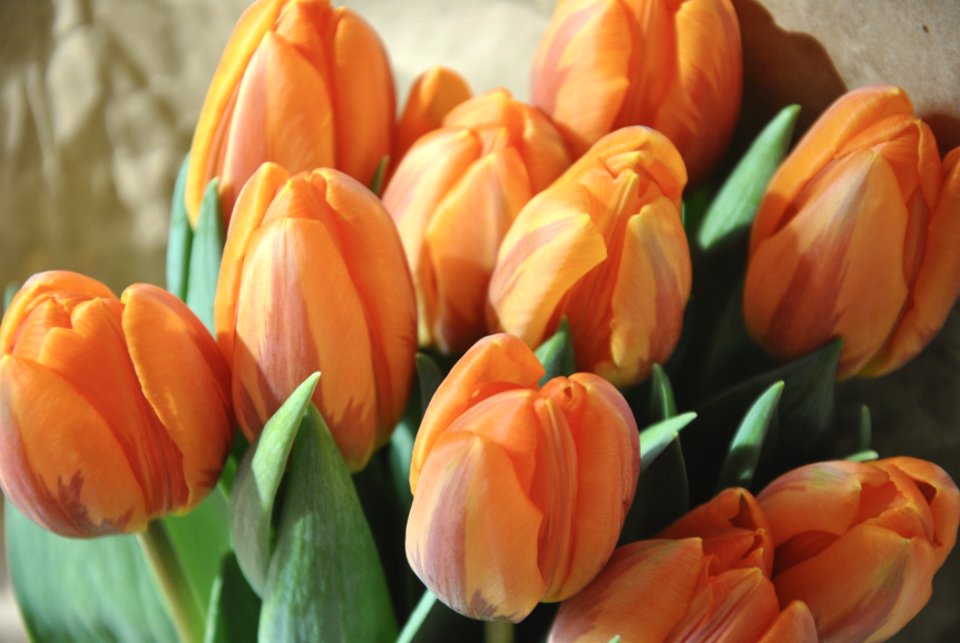Orange And Yellow Petaled Flower Bouquet
