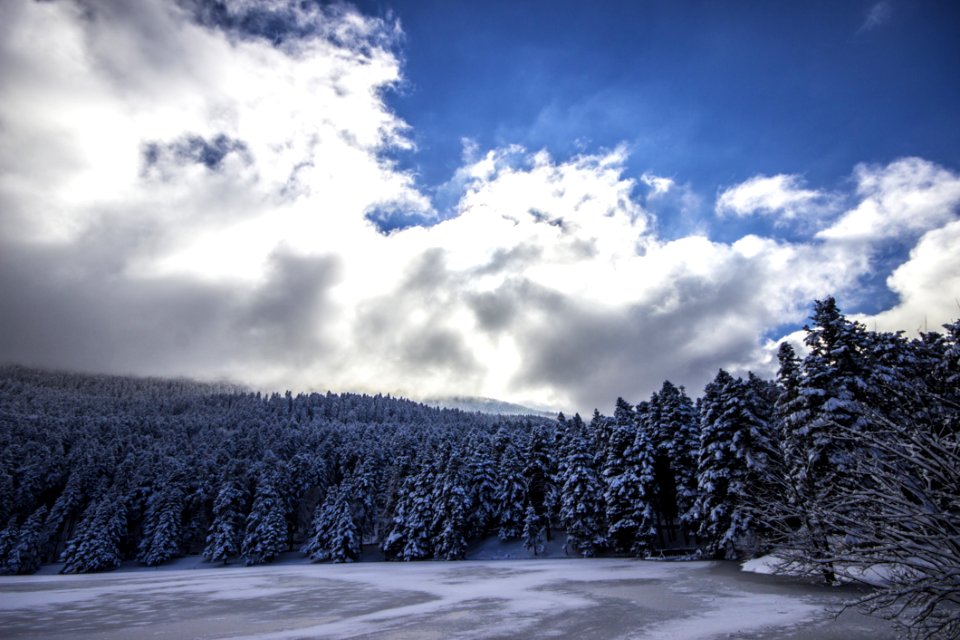 Cloudscape Over Forest In Winter