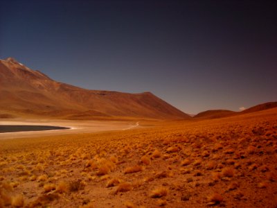 Desert In Chile photo