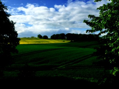 Green Country Fields Germany photo