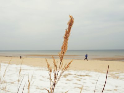 Man Running Near The Sea Shore During Day Time