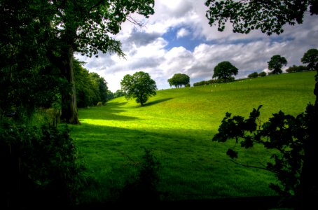 Green Hill With Tree Under White Clouds And Blue Sky During Daytime photo