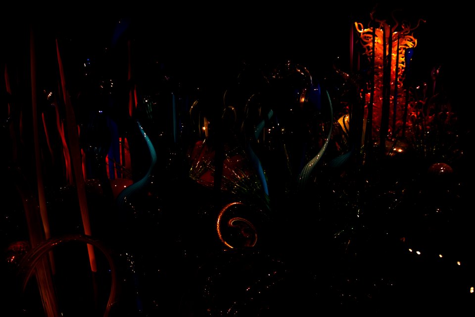 Indoor Garden1-Chihuly Gallery Seattle 2016